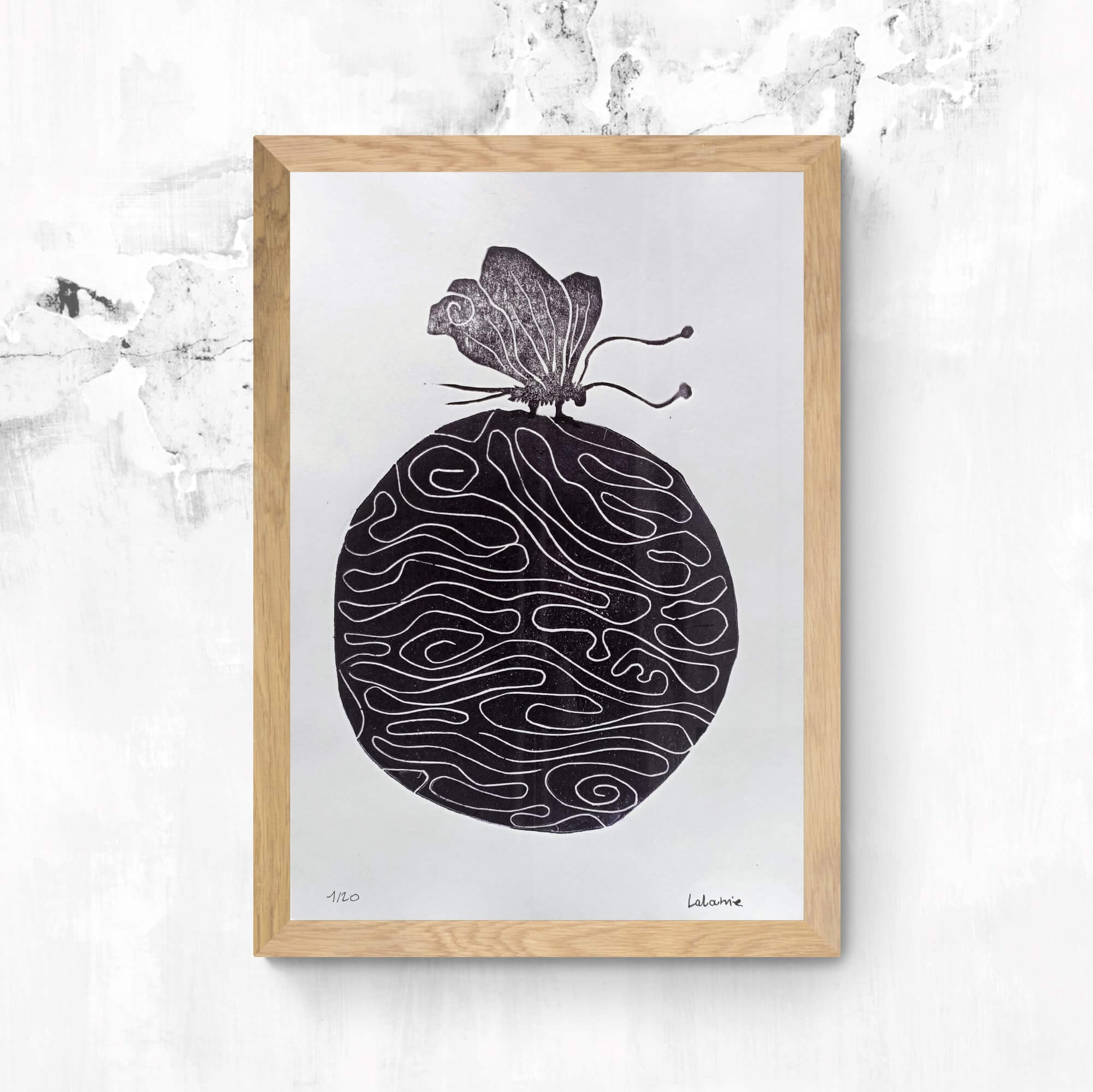 Le Papillon monde – Image 4