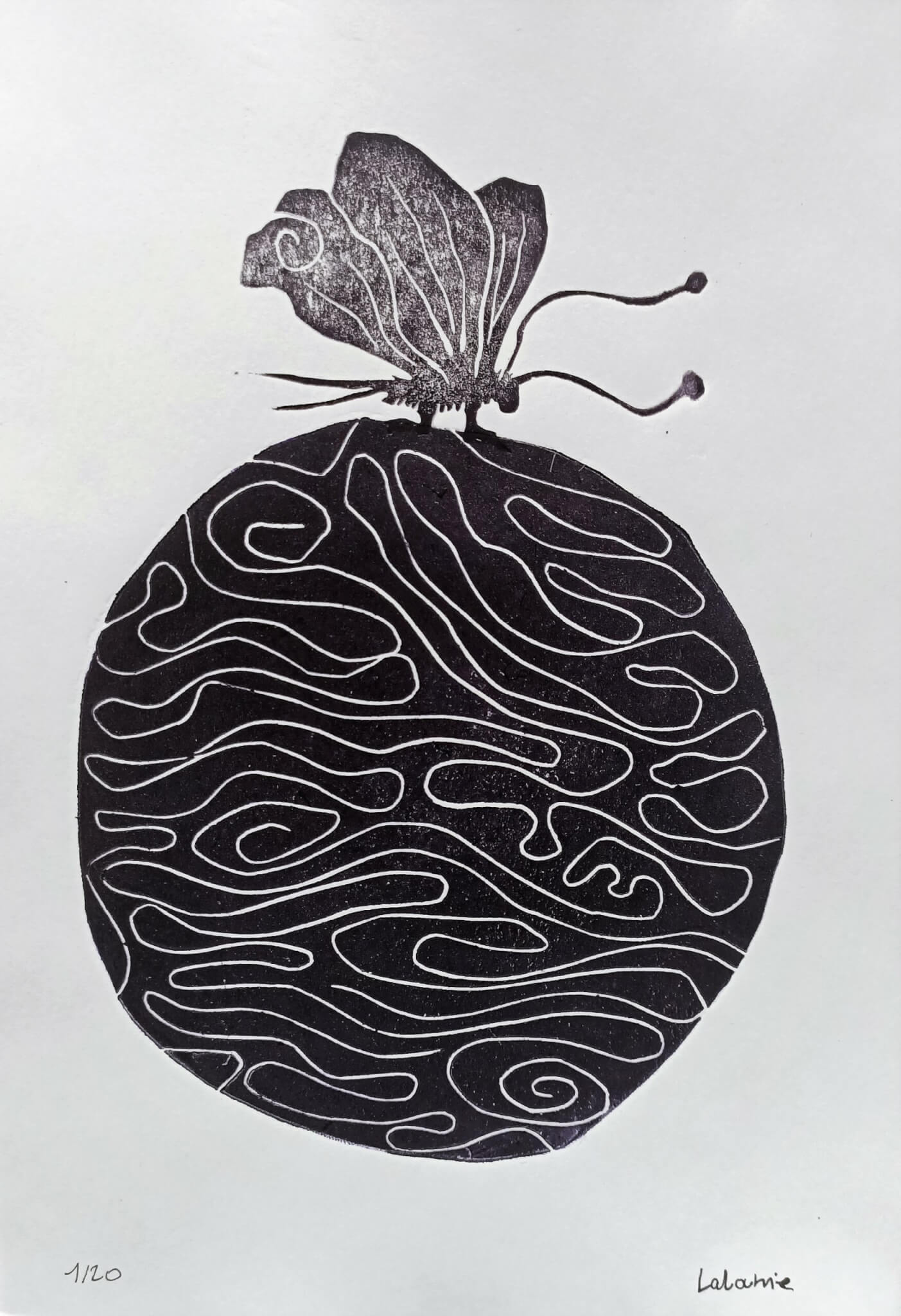 Le Papillon monde – Image 3