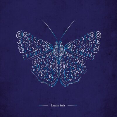 Papillon Lasaia Sula