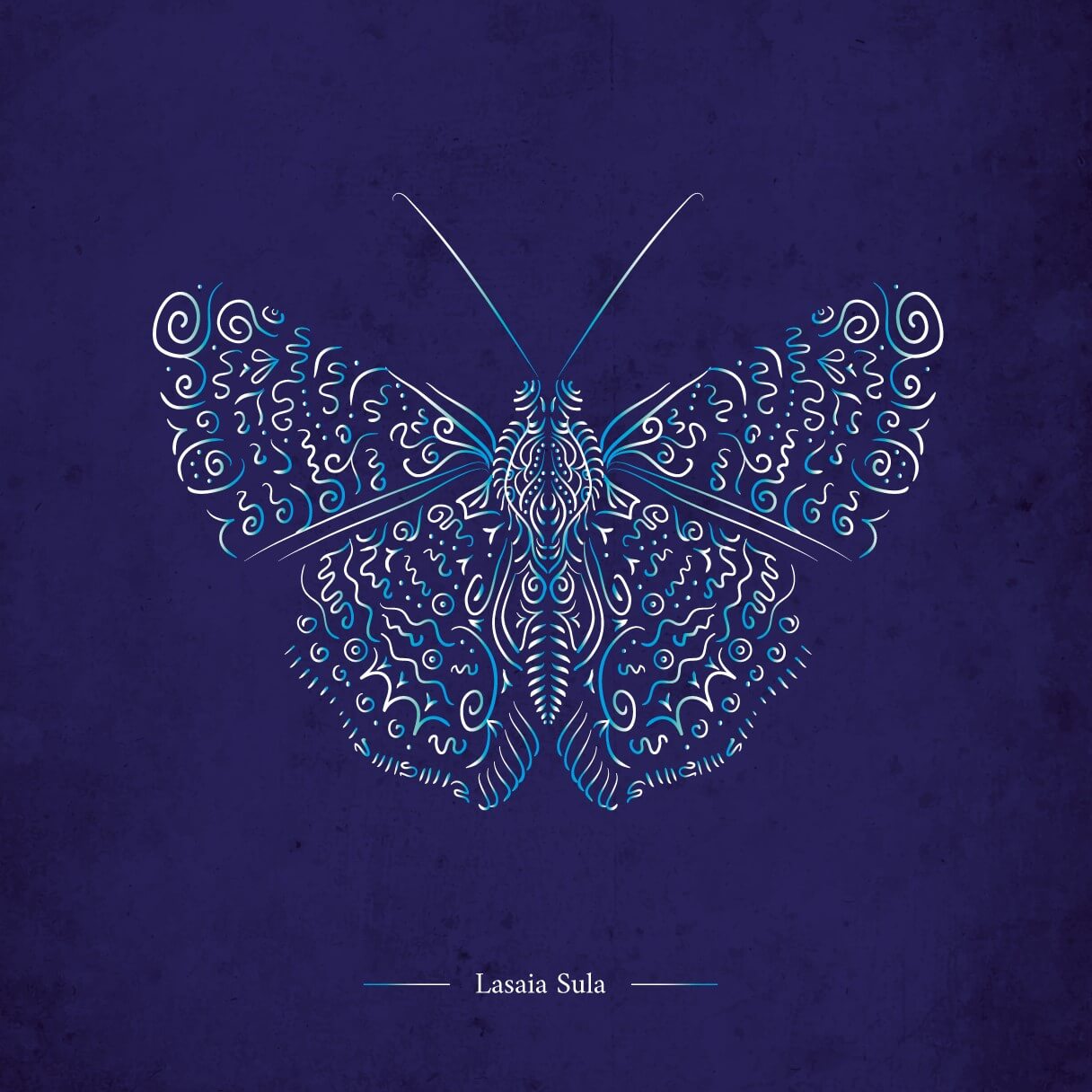 Papillon Lasaia Sula