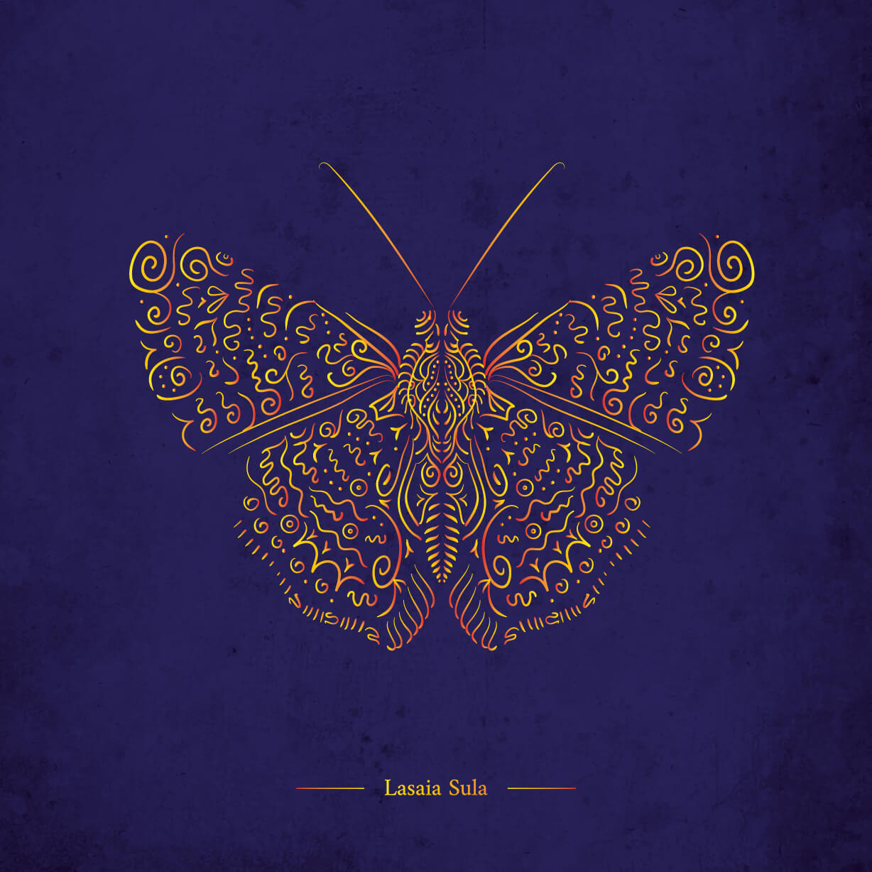 Papillon Lasaia Sula – Image 2