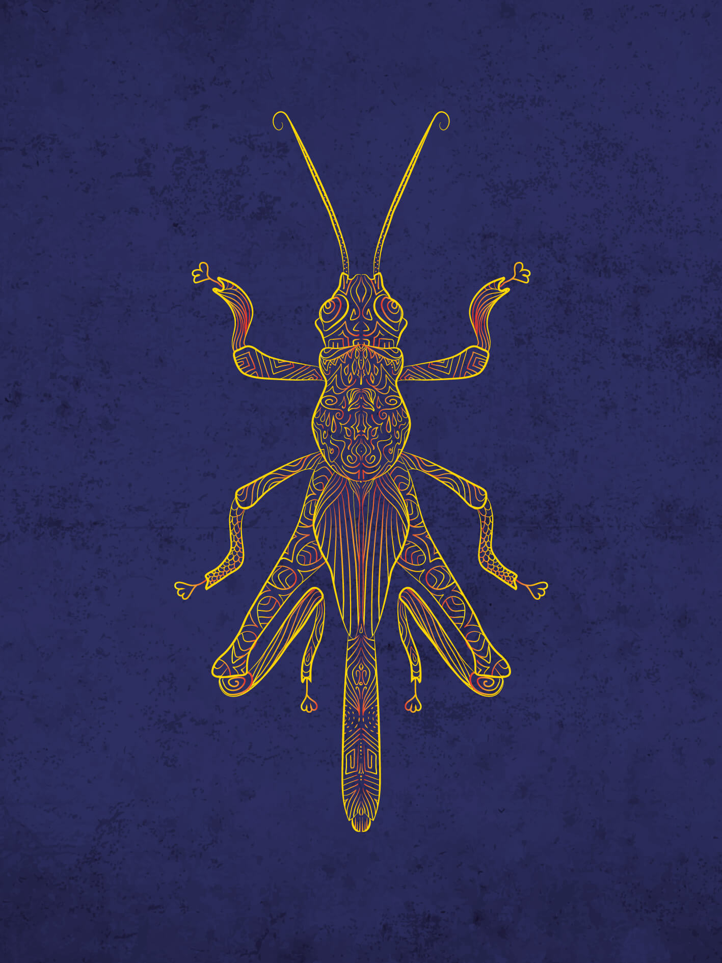 Criquet pèlerin – Image 2