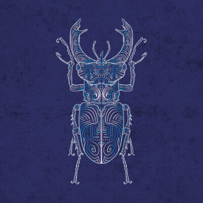 Scarabée Lucane cerf-volant