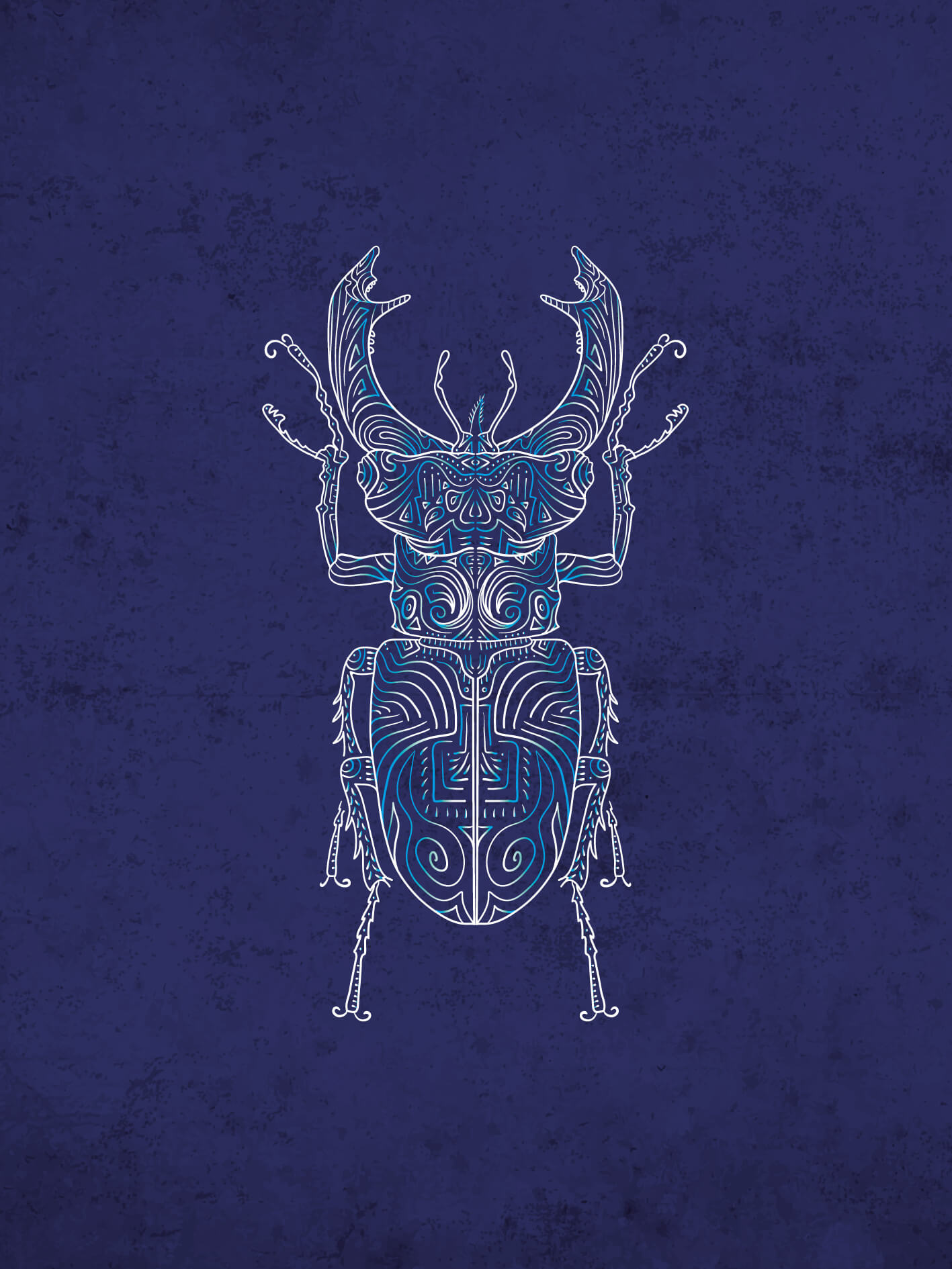 Scarabée Lucane cerf-volant