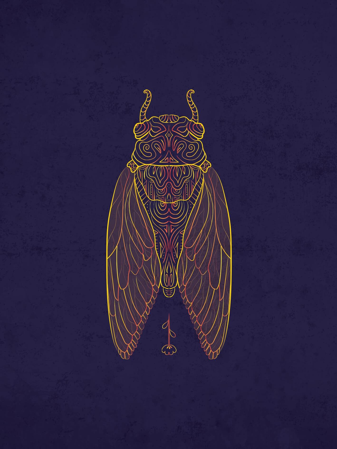 Cigale plébeienne – Image 2