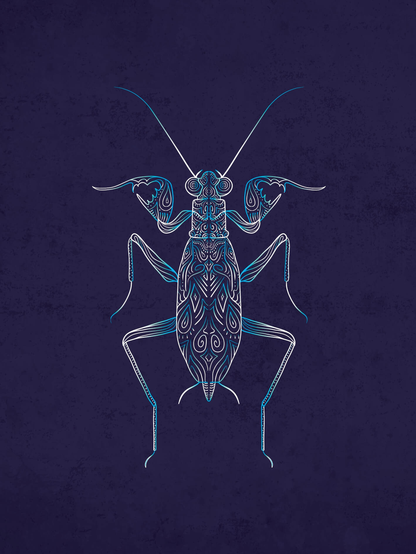 Mante Metallyticus splendidus