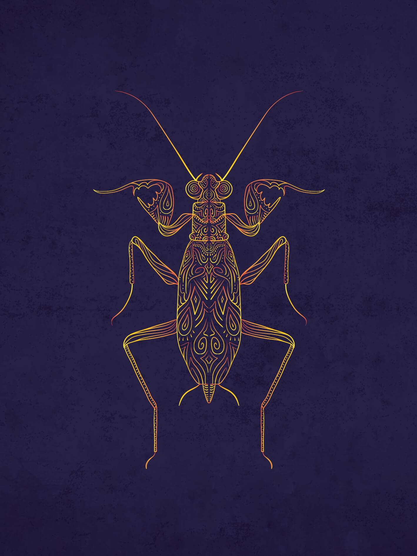 Mante Metallyticus splendidus – Image 2