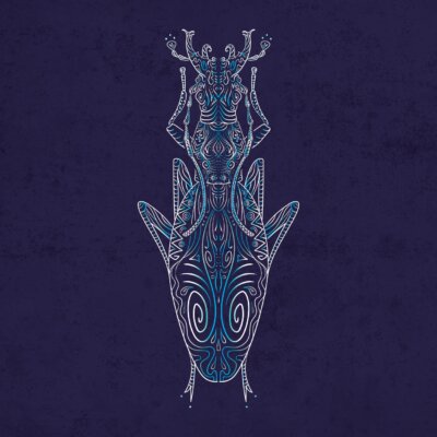 Coleoptere chrysotribax rutilans perignitus