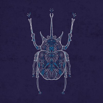 Scarabée Xylotrupes socrates nitidus