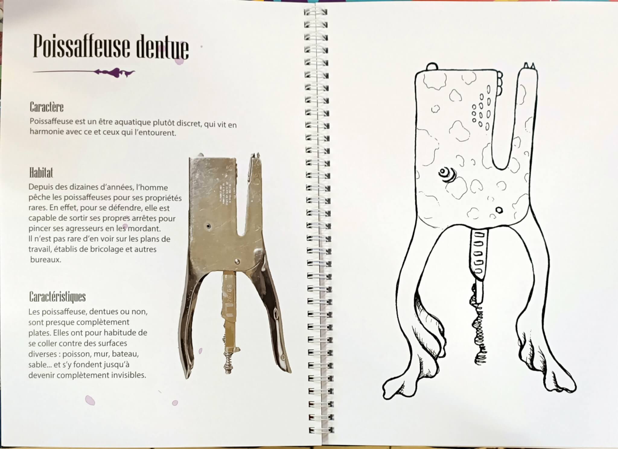 Livre de coloriage et bestiaire fantastique - Les créatures farfelues – Image 3