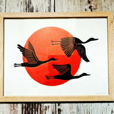 Les aigrettes noires