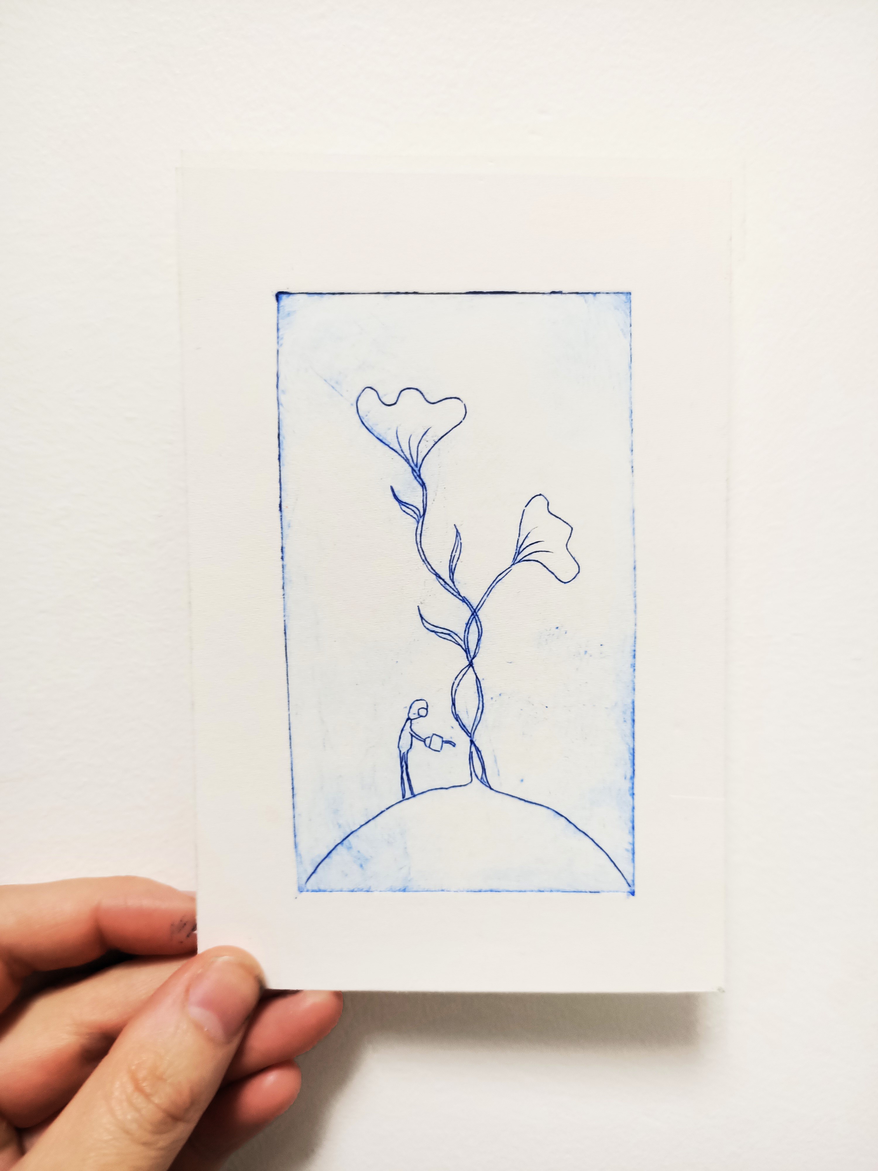 Croissance de fleur - 10x15cm